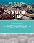 AIC Strategic Plan_COVER