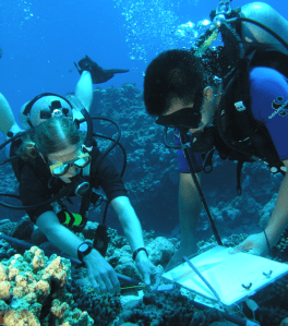 Studying coral reef in CNMI. Courtesy of CNMI DEQ.