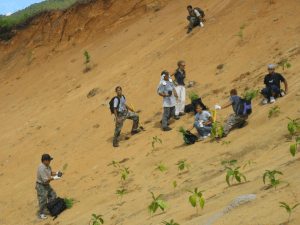 Revegetation work to prevent sediment runoff.