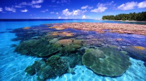 CoralReef_Majuro Atoll_FreeNaturePictures