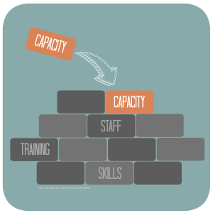 Building capacity. Credit: AIC